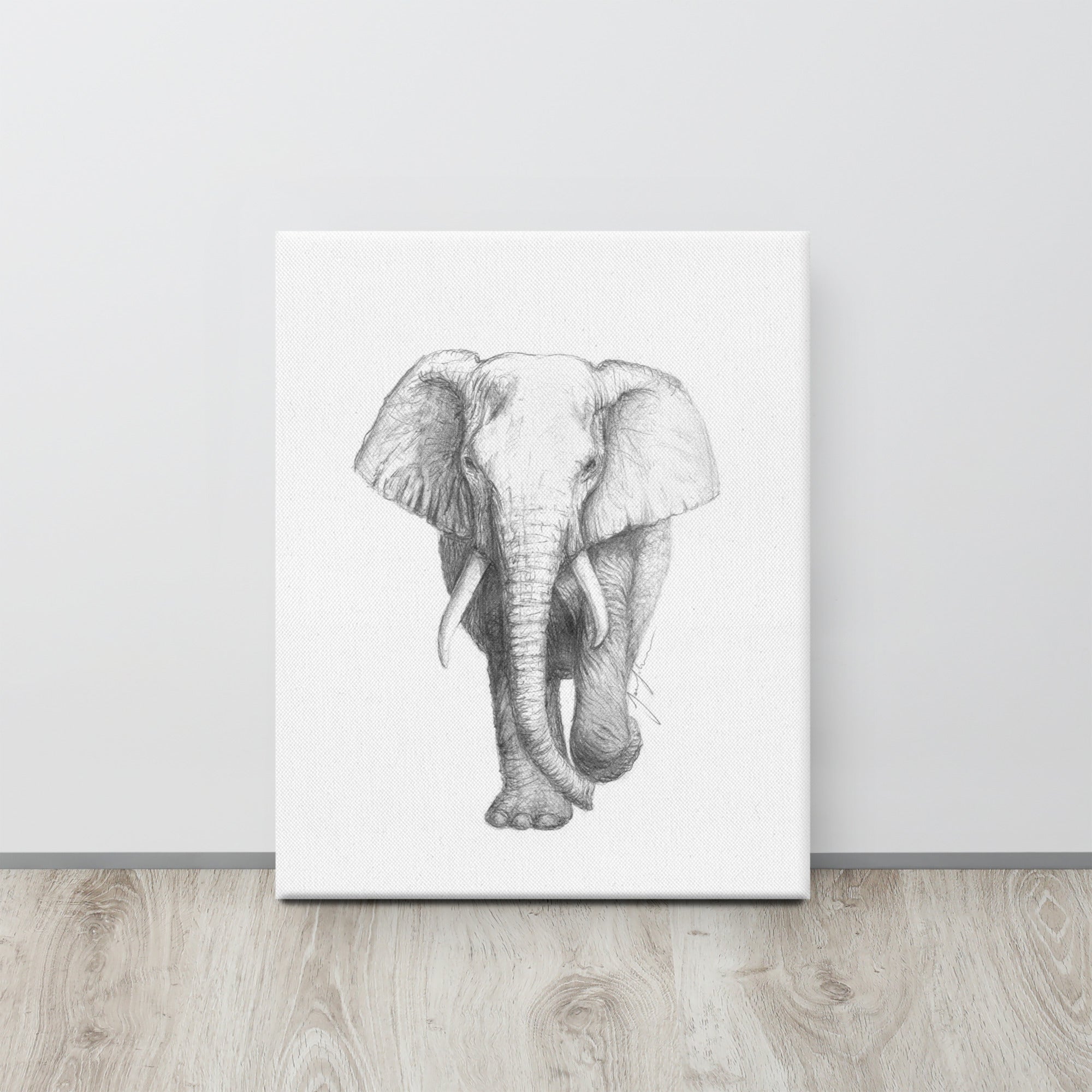 Canvas Artworks